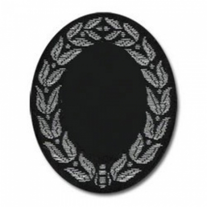 US SLEEVE INSIGNIA